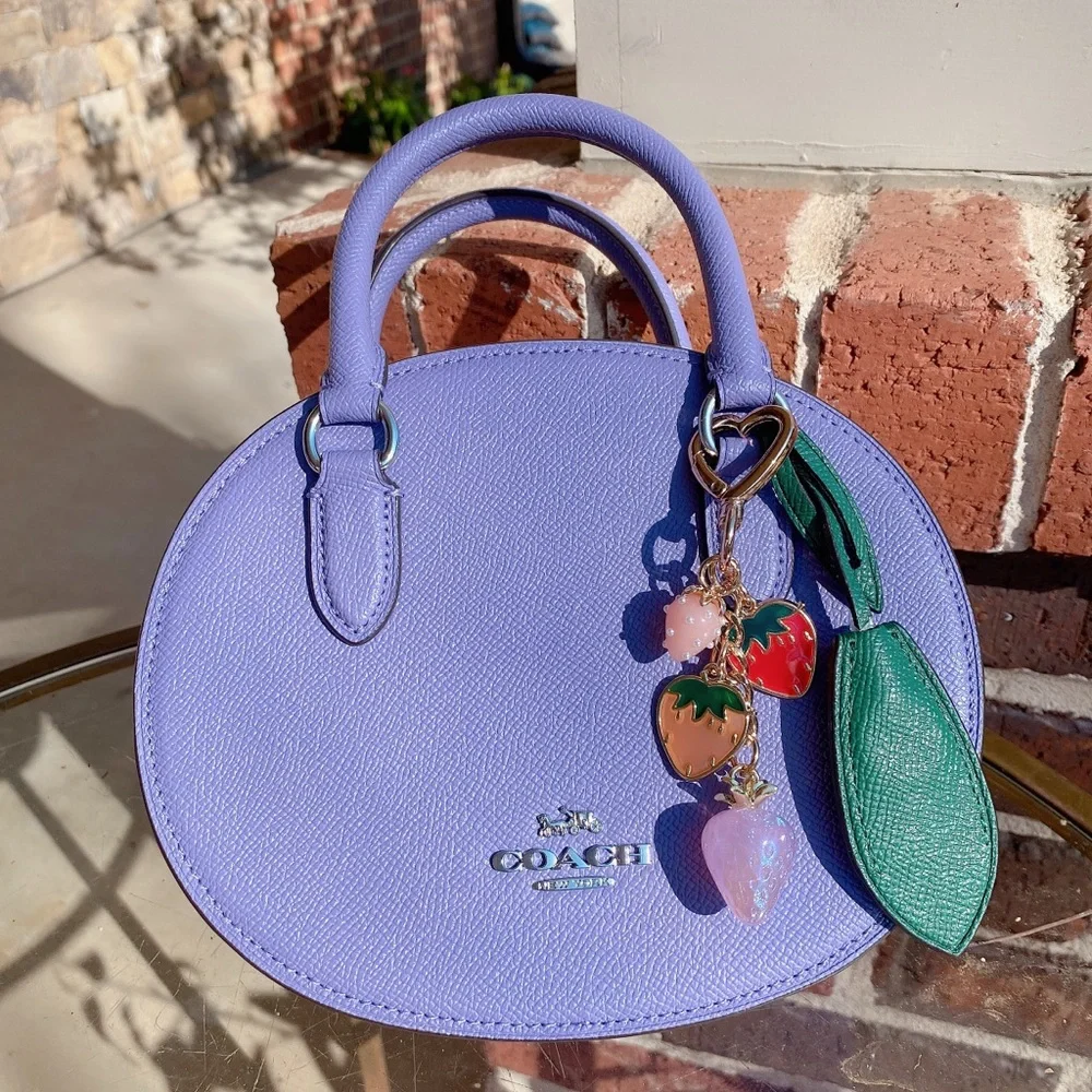 NWT Coach Blueberry Crossbody with Handmade Strawberry Cluster Bag Charm CR253 - Picture 1 of 9